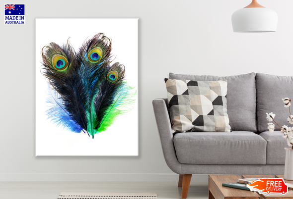 Peacock Feathers Painting Print 100% Australian Made