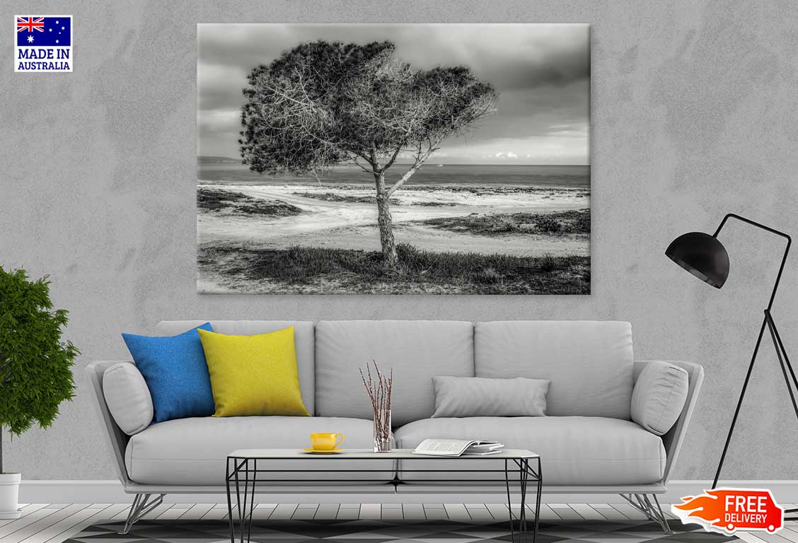 Alone Tree near Seashore B&W View Photograph Print 100% Australian Made