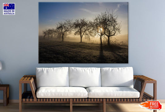 Misty Dry Trees Forest Photograph Print 100% Australian Made