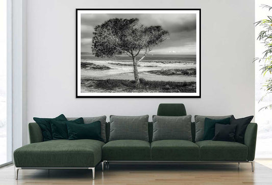 Alone Tree near Seashore B&W View Photograph Home Decor Premium Quality Poster Print Choose Your Sizes