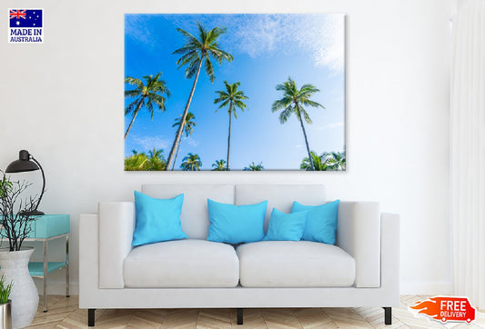 Tropical Palm Trees & Blue Sky Photograph Print 100% Australian Made