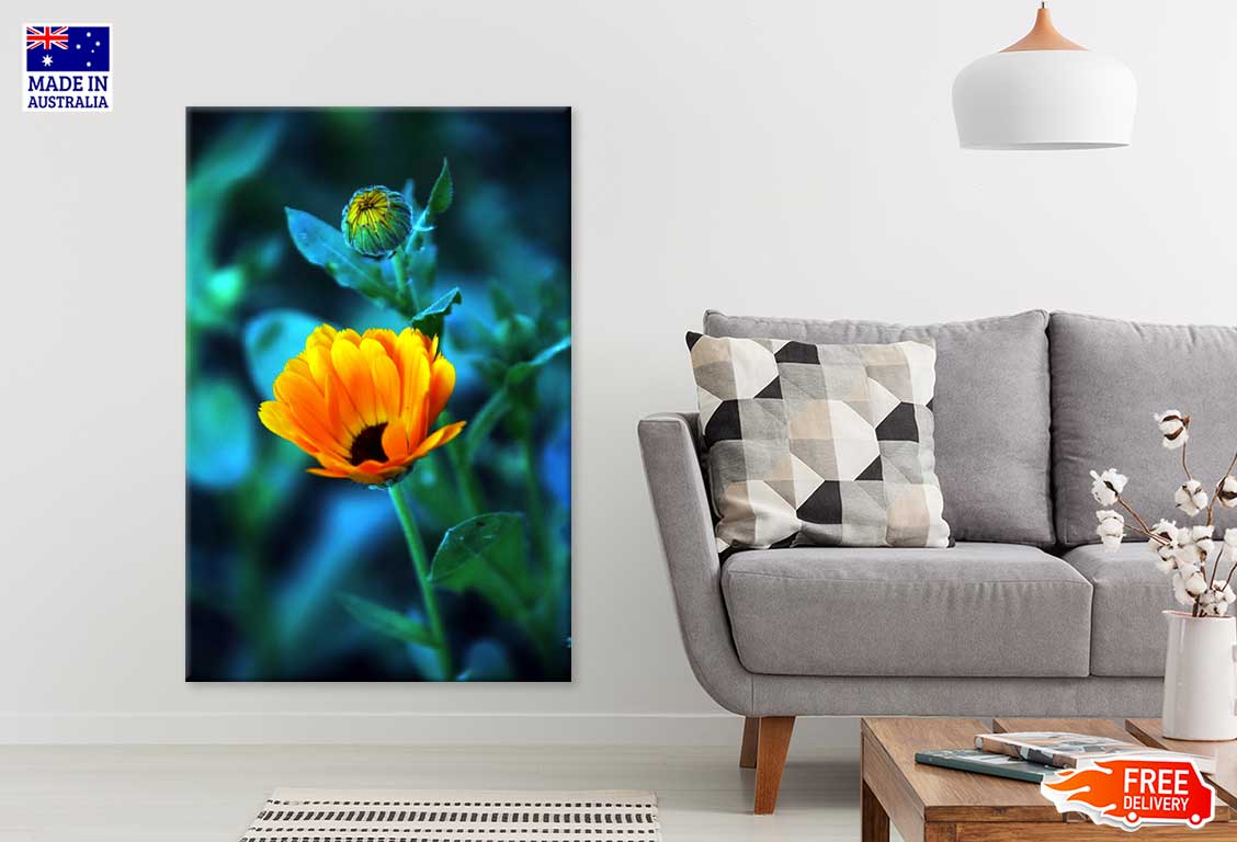 Orange Flower with Bud Closeup Photograph Print 100% Australian Made