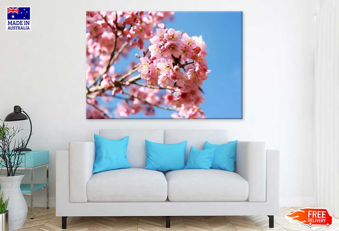 Pink Sakura Flowers Branch View Photograph Print 100% Australian Made