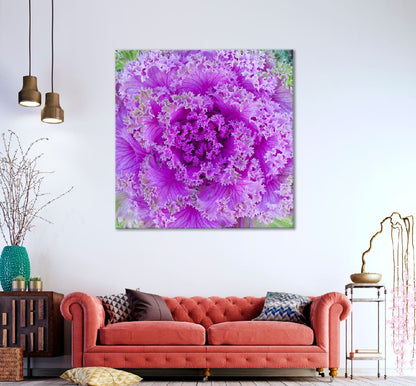 Square Canvas Purple Cabbage Flower Closeup View Photograph High Quality Print 100% Australian Made