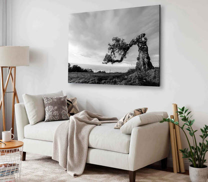 Bella Home Mythical Tree B&W Scenery View Print Canvas Ready to hang