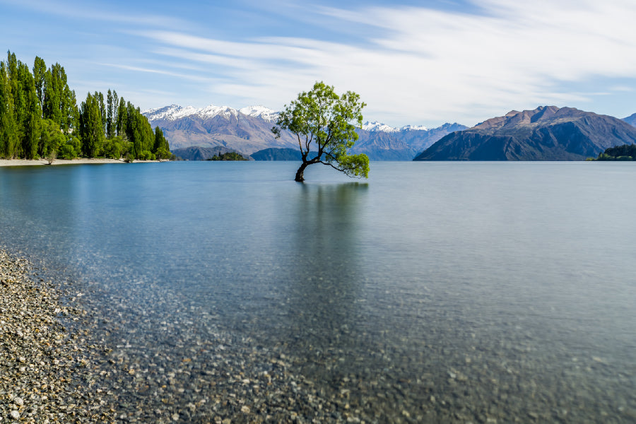 Alone Tree on Lake with Mountains Photograph Print 100% Australian Made