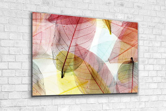 Pink Yellow Leaves View Print Tempered Glass Wall Art 100% Made in Australia Ready to Hang