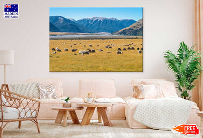 Sheep on Grass Field & Mountains Scenery Photograph Print 100% Australian Made