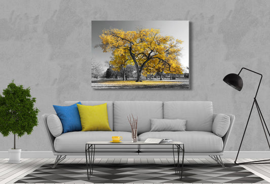 Yellow Trees and Black and white Nature Print 100% Australian Made