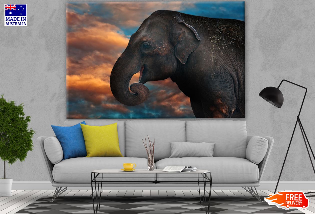 Elephant Portrait Photograph Print 100% Australian Made