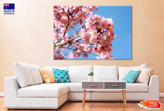 Pink Sakura Flowers Branch View Photograph Print 100% Australian Made