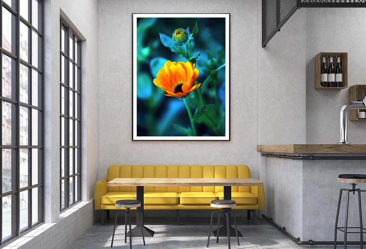 Orange Flower with Bud Closeup View Photograph Home Decor Premium Quality Poster Print Choose Your Sizes