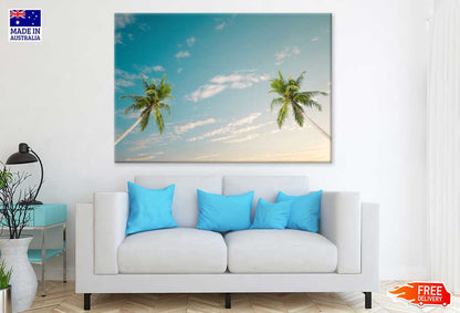 Coconut Palm Trees & Blue Sky Photograph Print 100% Australian Made