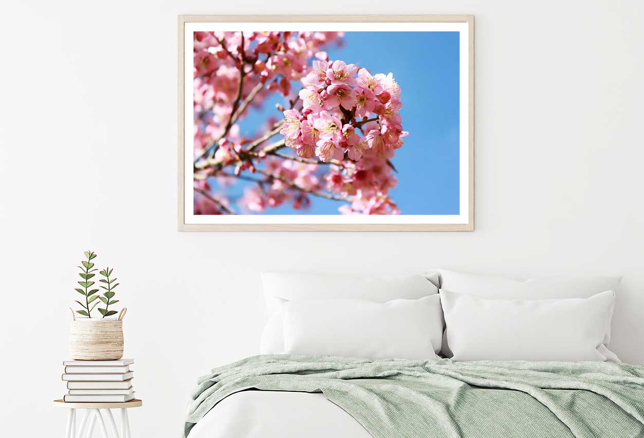 Pink Sakura Flowers Branch View Photograph Home Decor Premium Quality Poster Print Choose Your Sizes