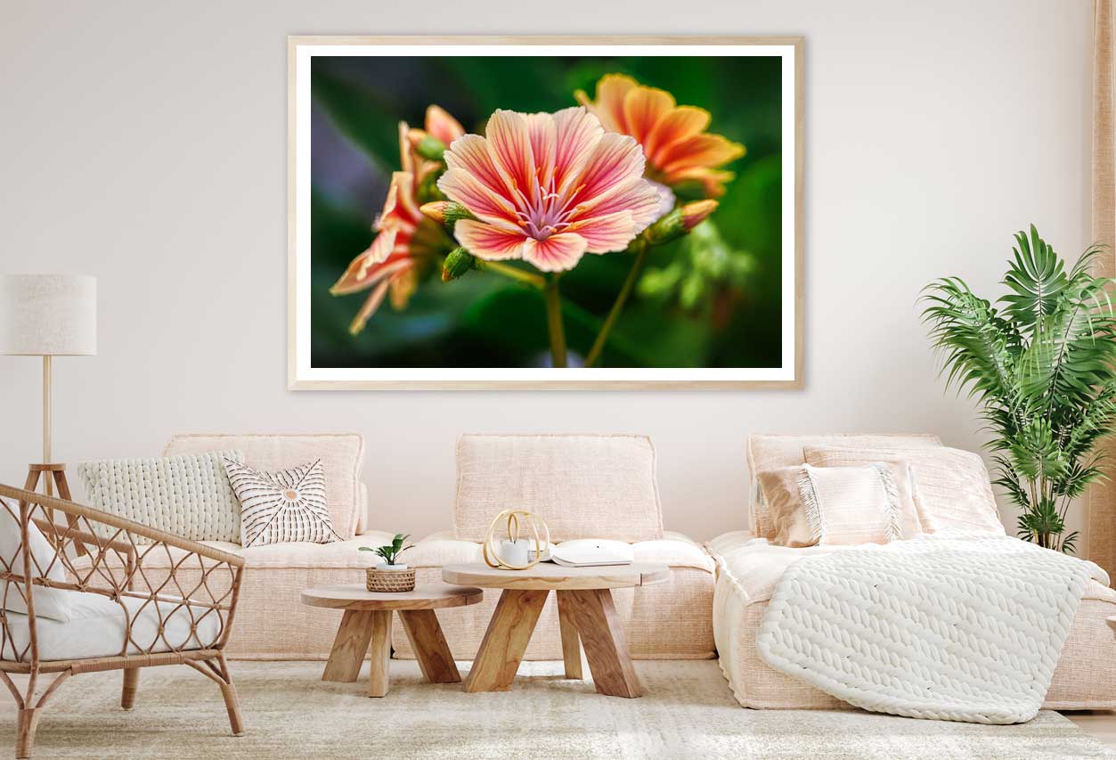 Alstroemeriaceae Flower Closeup View Photograph Home Decor Premium Quality Poster Print Choose Your Sizes