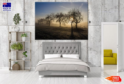 Misty Dry Trees Forest Photograph Print 100% Australian Made