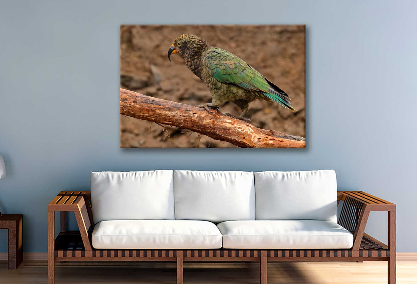 Bella Home Kea Parrot Mountain In The New Zealand Print Canvas Ready to hang