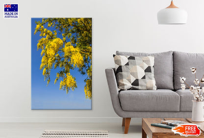 Yellow Autumn Tree Branches View Photograph Print 100% Australian Made