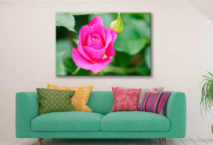 Bella Home Pink Color Rose In A Botanical Garden Print Canvas Ready to hang