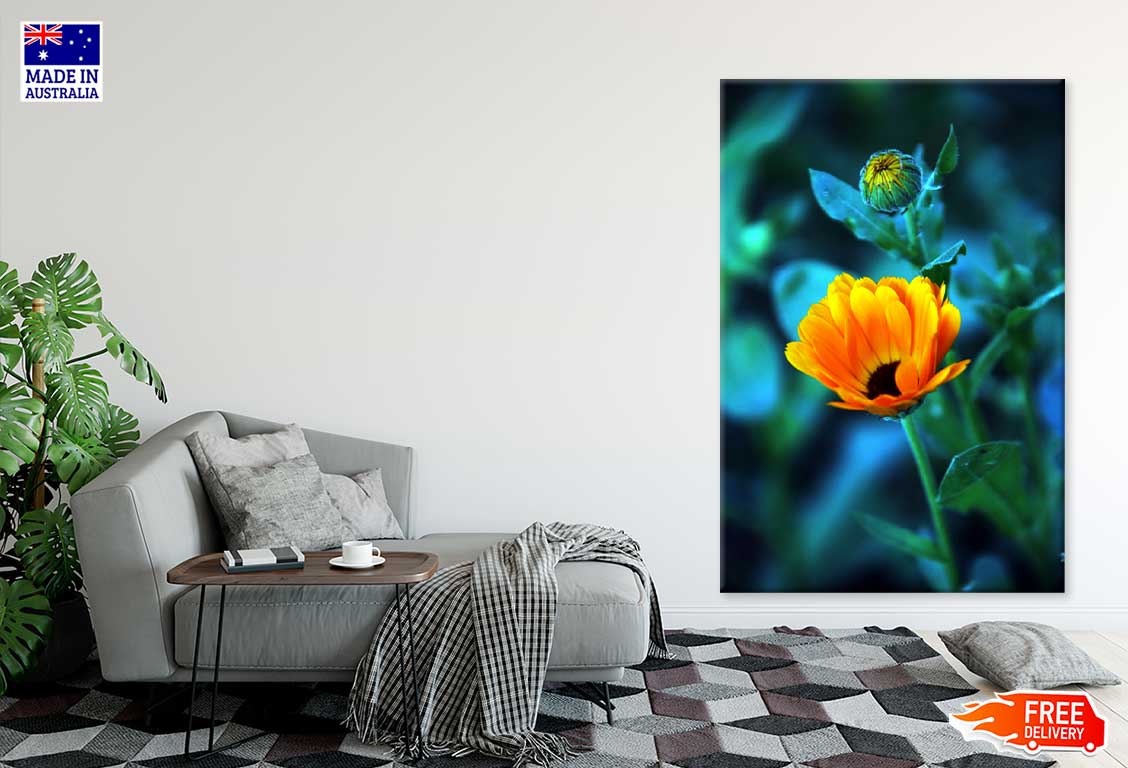 Orange Flower with Bud Closeup Photograph Print 100% Australian Made