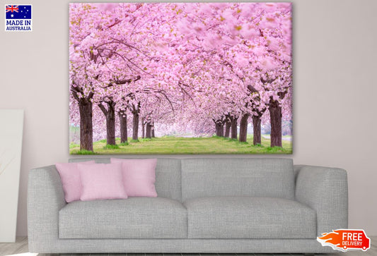 Blossom Trees Rows in Park Print 100% Australian Made