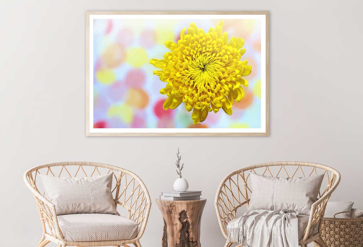 Pink Chrysanthemum Petals View Home Decor Premium Quality Poster Print Choose Your Sizes