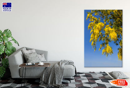 Yellow Autumn Tree Branches View Photograph Print 100% Australian Made