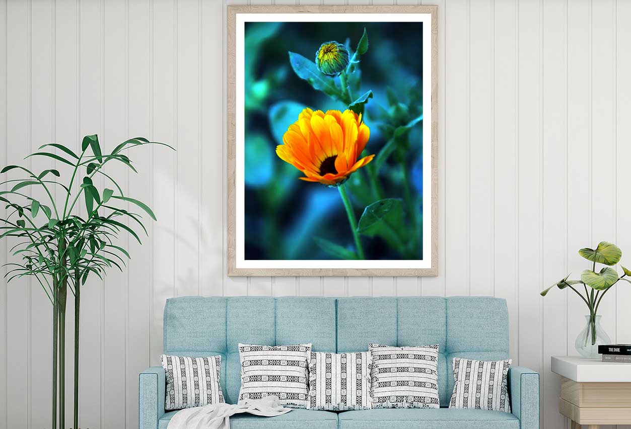 Orange Flower with Bud Closeup View Photograph Home Decor Premium Quality Poster Print Choose Your Sizes