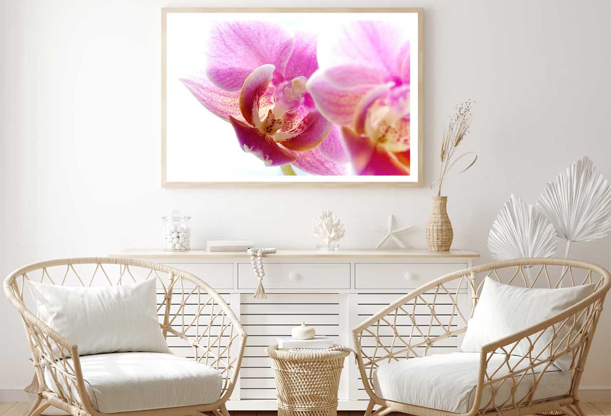 Pink Orchid Flower Closeup View Photograph Home Decor Premium Quality Poster Print Choose Your Sizes