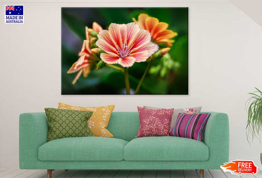 Alstroemeriaceae Flower Closeup Photograph Print 100% Australian Made