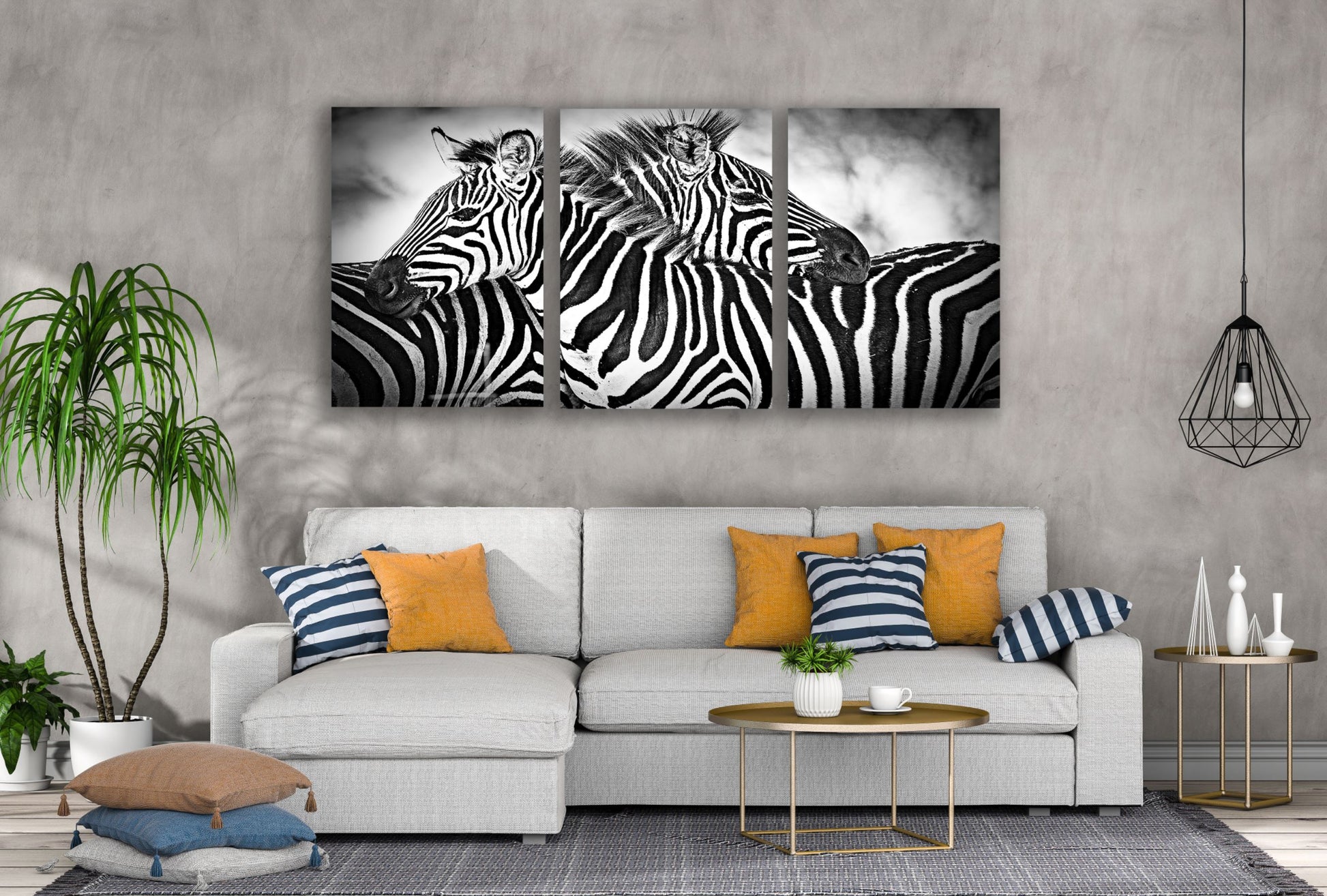 3 Set of Zebras B&W Photograph High Quality Print 100% Australian Made Wall Canvas Ready to Hang