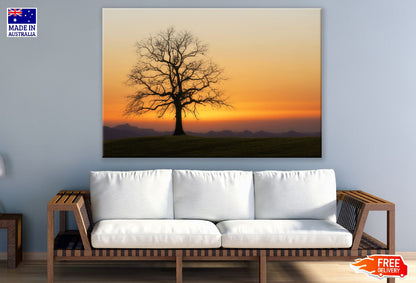 Tree Bald Sunset Photograph Print 100% Australian Made