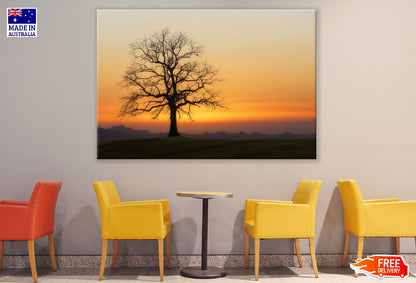 Tree Bald Sunset Photograph Print 100% Australian Made