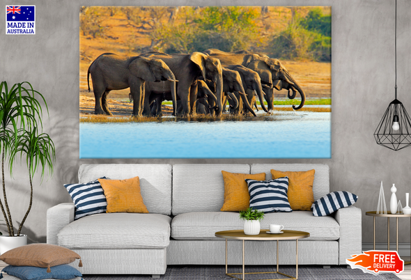 Elephants Near WaterStream Photograph Print 100% Australian Made