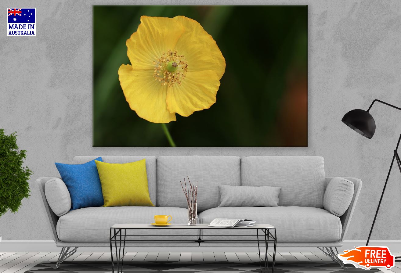 Yellow Poppy Flower Closeup Photograph Print 100% Australian Made