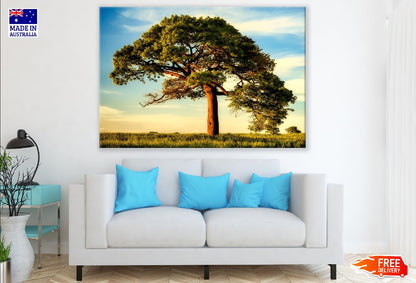 Old Tree Under Blue Sky Photograph Print 100% Australian Made