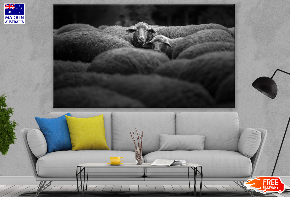 B&W Flock of Sheep Photograph Print 100% Australian Made