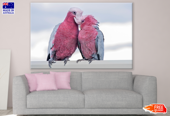 Rose Parrots Love Photograph Print 100% Australian Made