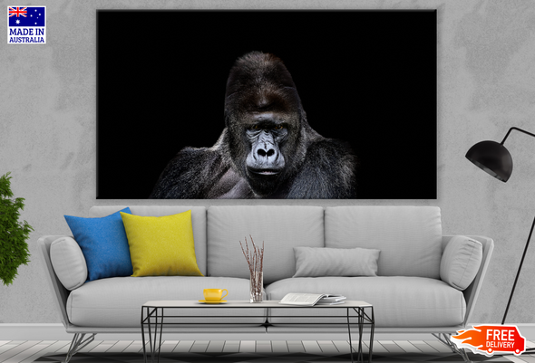 Gorilla Portrait Photograph Print 100% Australian Made