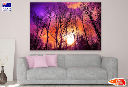 Purple Orange Sunset Forest Photograph Print 100% Australian Made