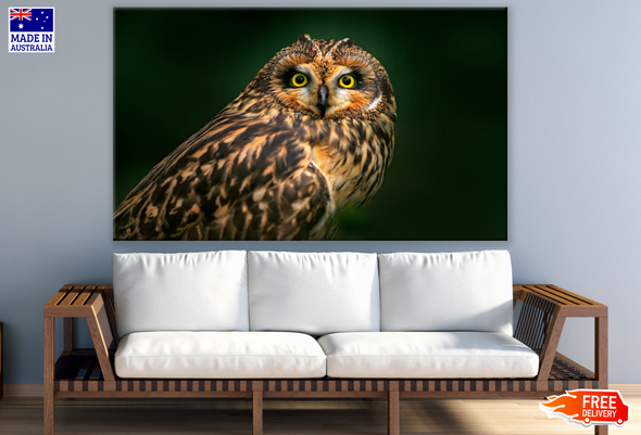 Owl Closeup Portrait Photograph Print 100% Australian Made