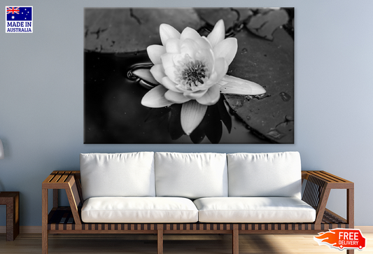 Lotus Flower On Water B&W Photograph Print 100% Australian Made