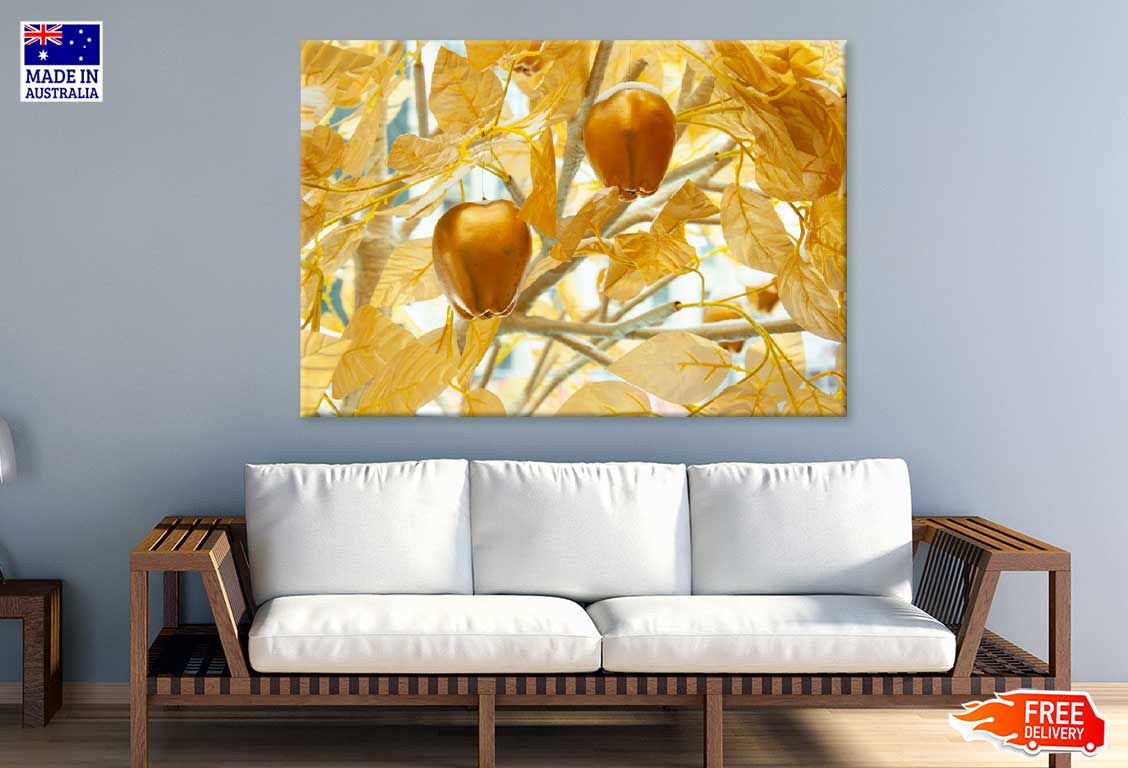 Golden Apples with Branch View Photograph Print 100% Australian Made