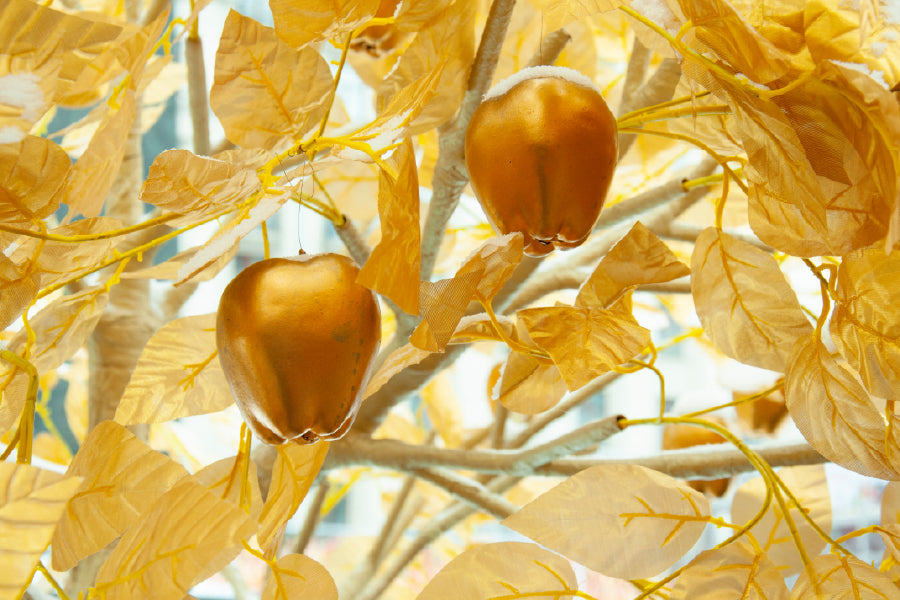 Golden Apples with Branch View Photograph Home Decor Premium Quality Poster Print Choose Your Sizes