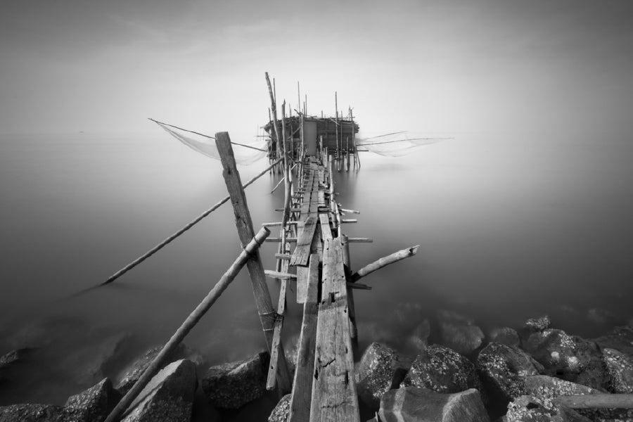 Wood Exposure on Sea B&W View Photograph Print 100% Australian Made