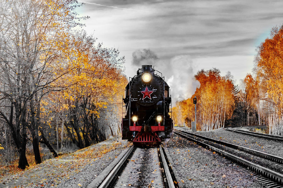 B&W Train & Autumn Trees View Photograph Print 100% Australian Made