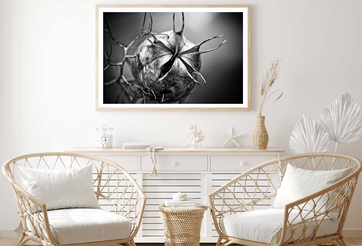 Nigella Closeup B&W View Photograph Home Decor Premium Quality Poster Print Choose Your Sizes