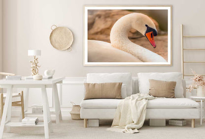 White Swan Closep View Photograph Home Decor Premium Quality Poster Print Choose Your Sizes