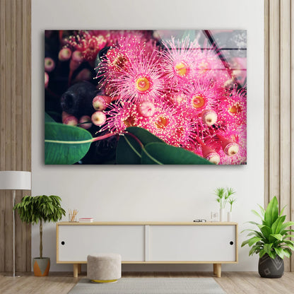 Pink Flowers Closeup Photograph Acrylic Glass Print Tempered Glass Wall Art 100% Made in Australia Ready to Hang