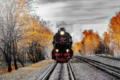 B&W Train & Autumn Trees Photograph Home Decor Premium Quality Poster Print Choose Your Sizes